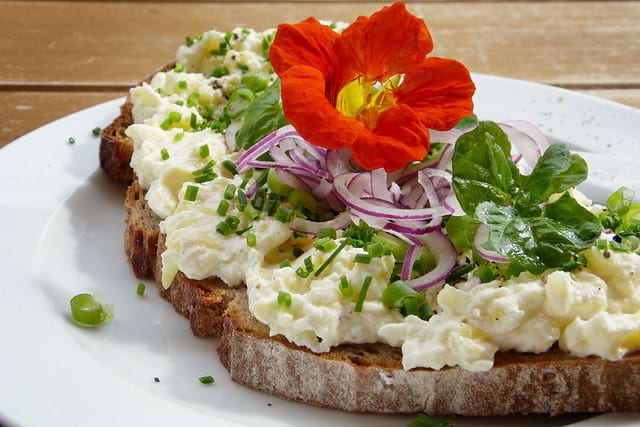 Frischkäse Schwangerschaft