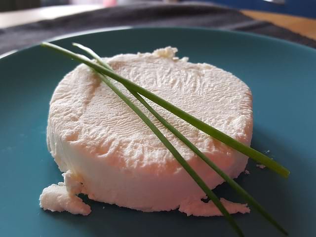 Ziegenkäse Schwangerschaft