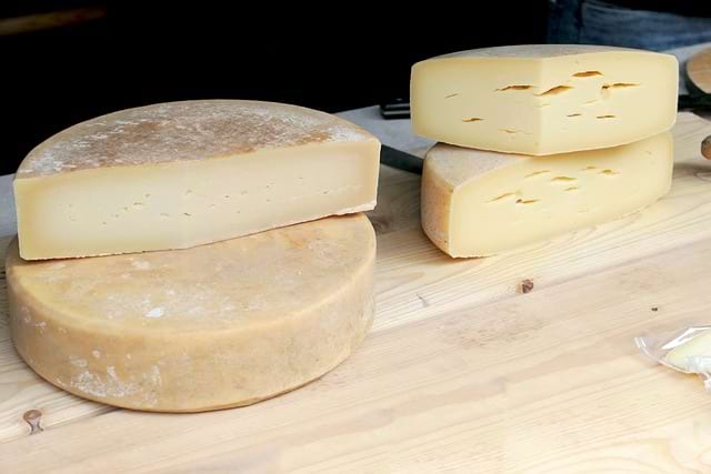 gouda schwangerschaft