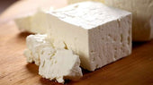 Feta Schwangerschaft