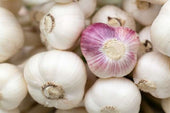 Knoblauch Schwangerschaft